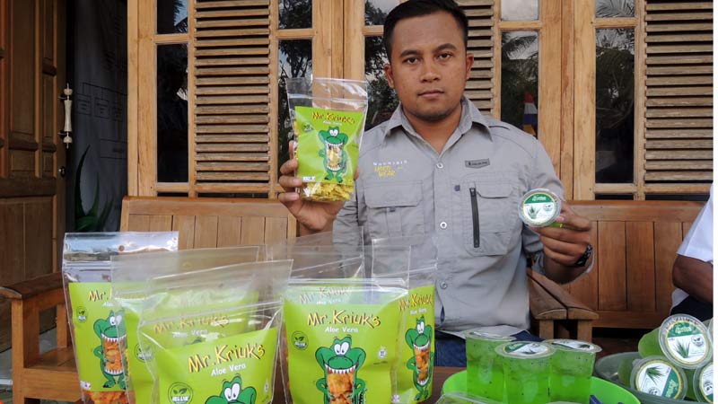 Lidah Buaya Gunung Kidul